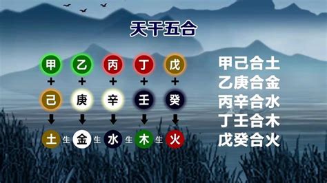 五行合化表|天干五合详解 – 天干五合合化条件